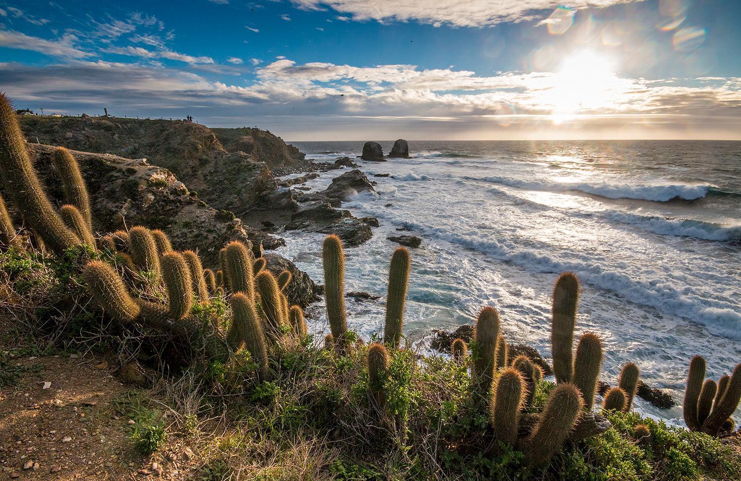 Hotel Alaia Pichilemu Esterno foto