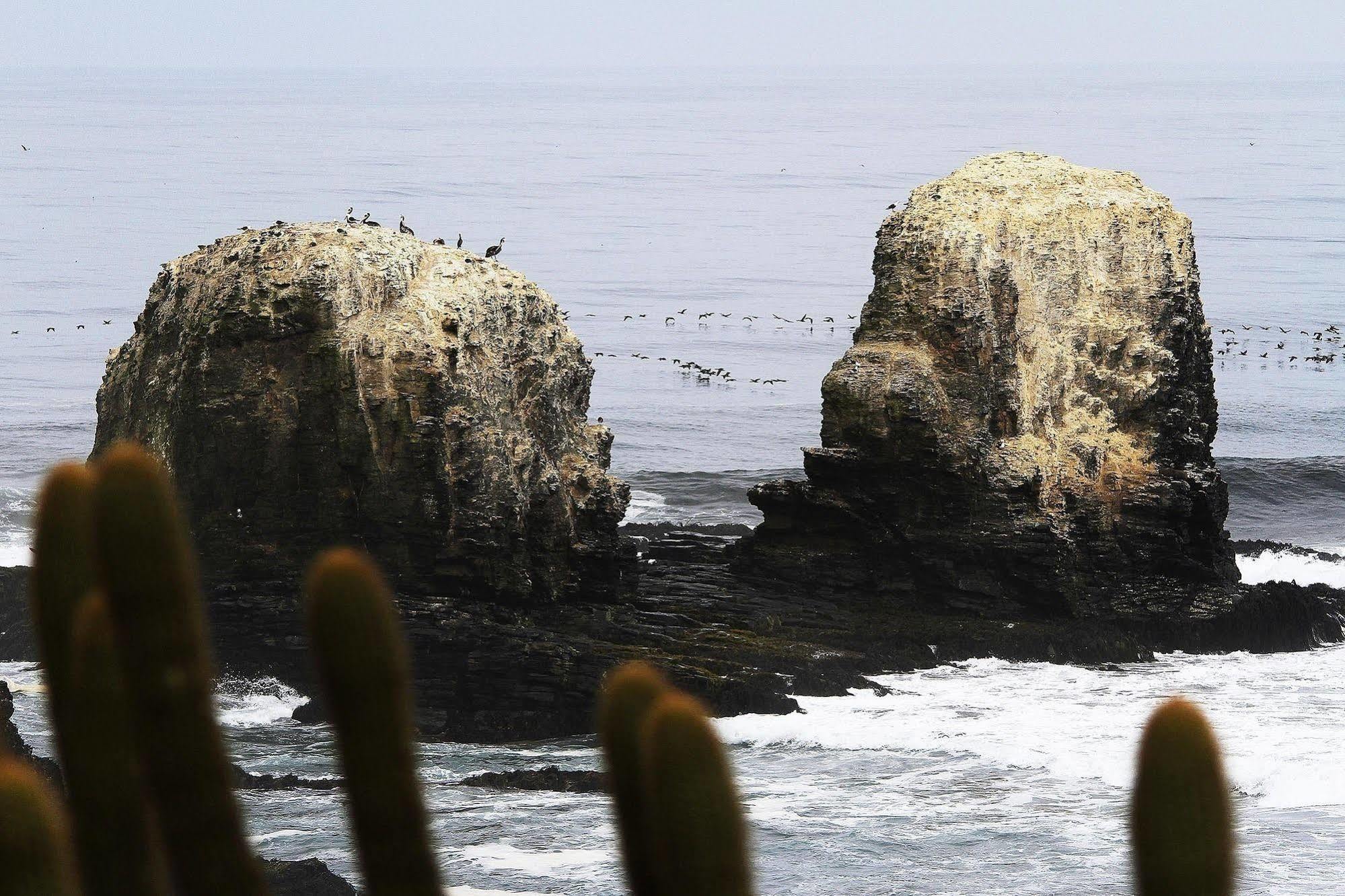 Hotel Alaia Pichilemu Esterno foto